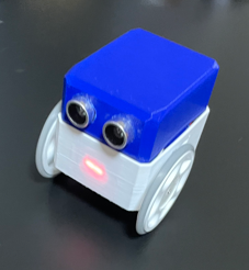 Pico Otto